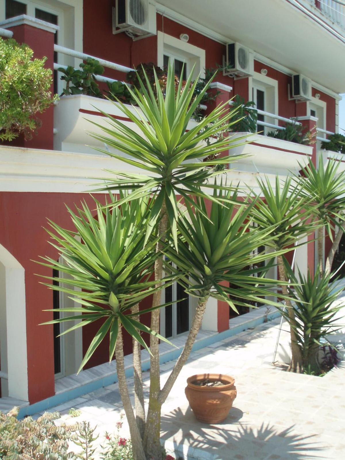 Ferienwohnung Crystal Kávos Exterior foto